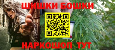 дмт Гатчина