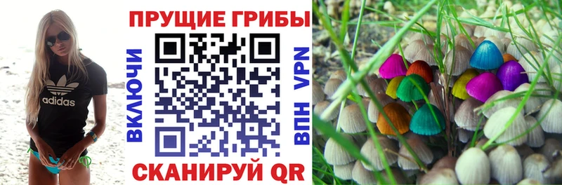 купить закладку  Шумерля  мега ТОР  Галлюциногенные грибы GOLDEN TEACHER 