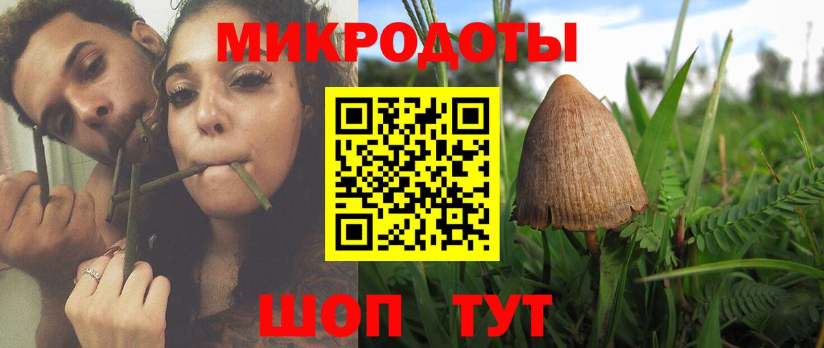 Шумерля  Псилоцибиновые грибы ЛСД  Вход с VPN 