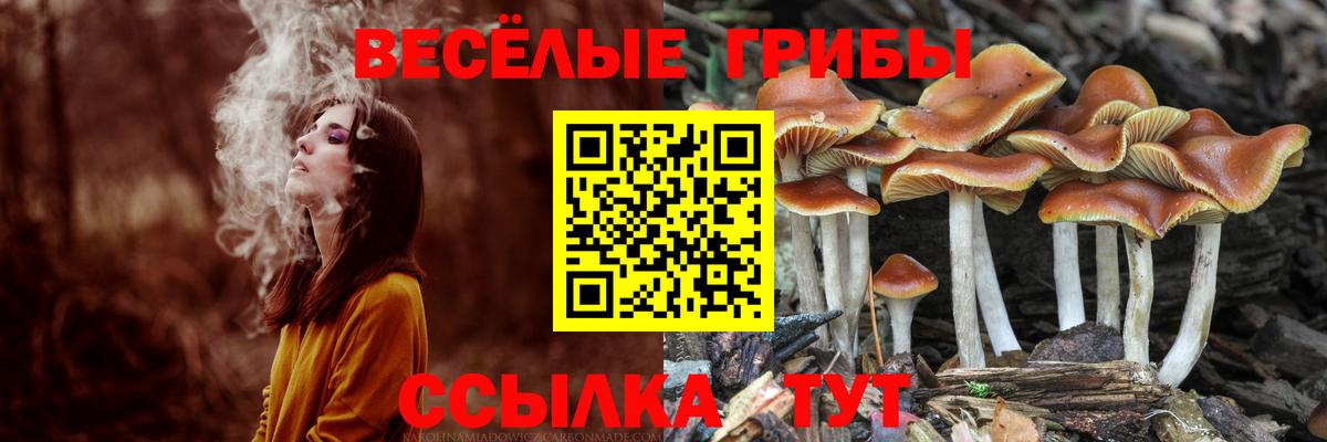 Псилоцибиновые грибы MAGIC MUSHROOMS Шумерля